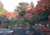 青蓮院門跡（しょうれんいんもんぜき）：京都の紅葉