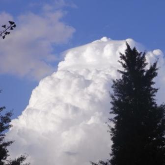 駒沢公園の夏の雲