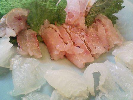 ベラのセギリと皮剥ぎの刺身