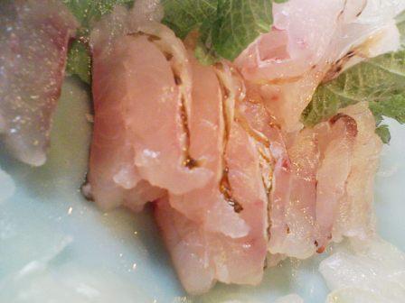 ベラのセギリアップ写真